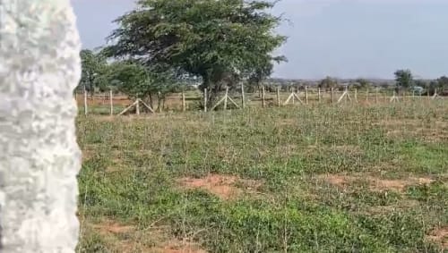 An image of land