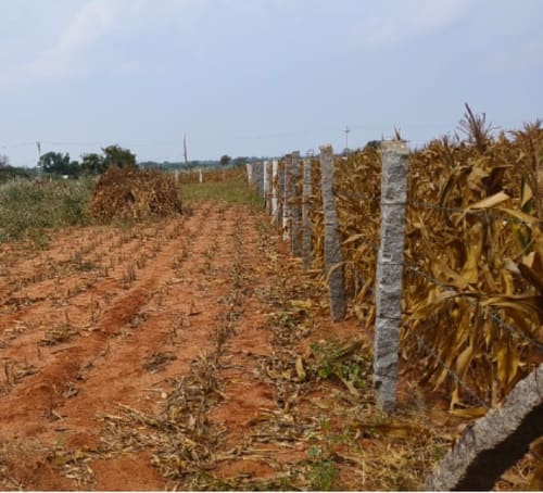 An image of land
