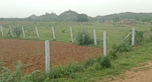 An image of land