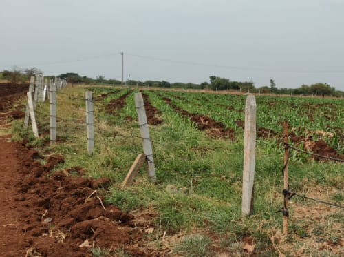 An image of land