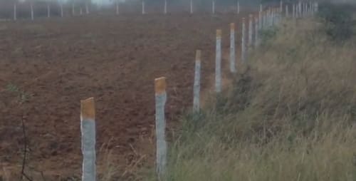 An image of land