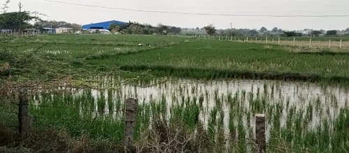 An image of land