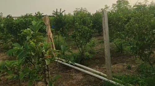 An image of land