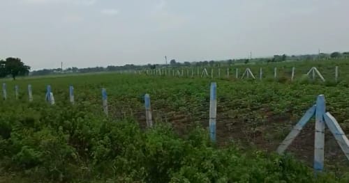 An image of land