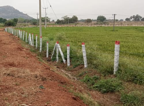An image of land