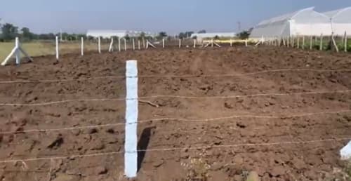 An image of land