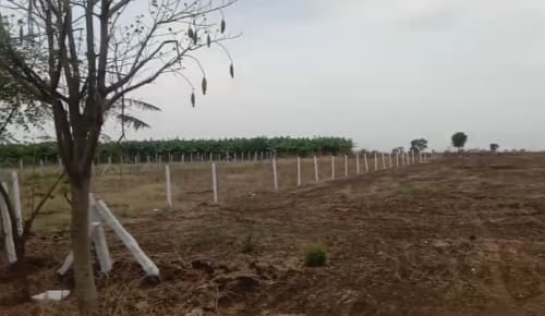 An image of land