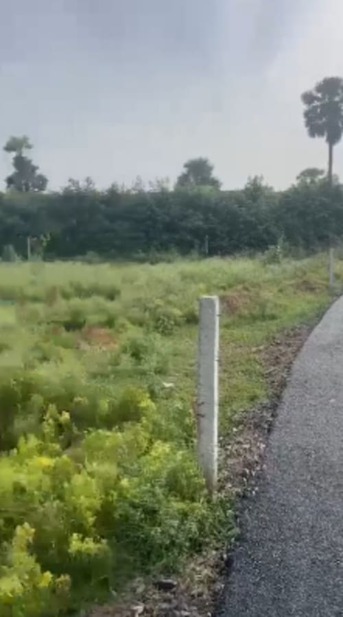 An image of land