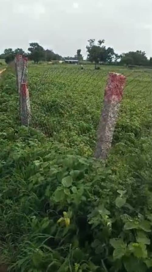 An image of land