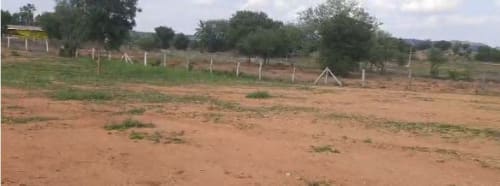 An image of land