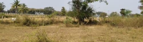 An image of land