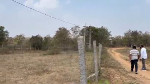 An image of land