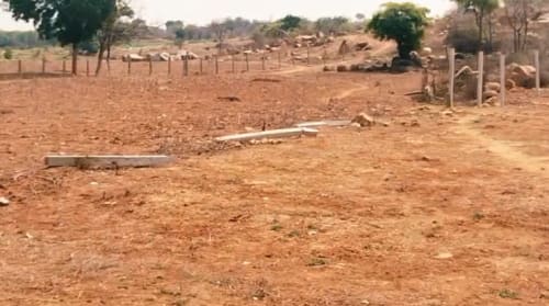 An image of land