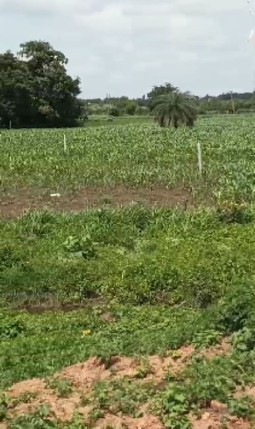An image of land