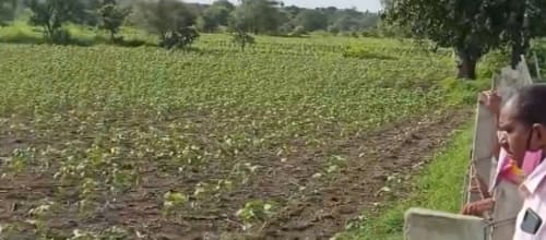 An image of land