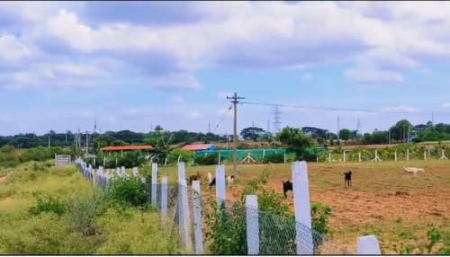 An image of land