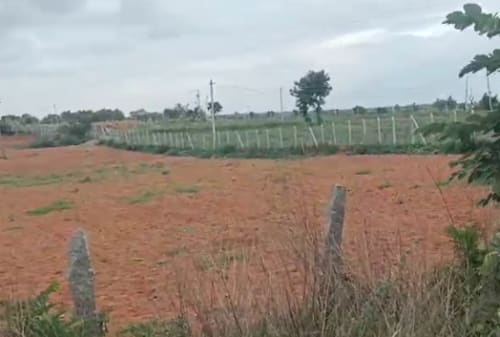 An image of land