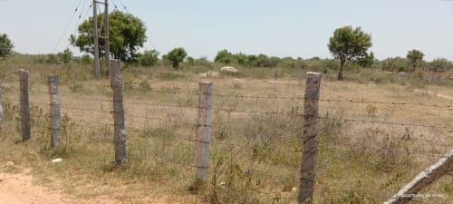 An image of land