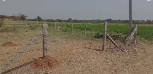 An image of land