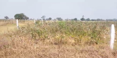 An image of land