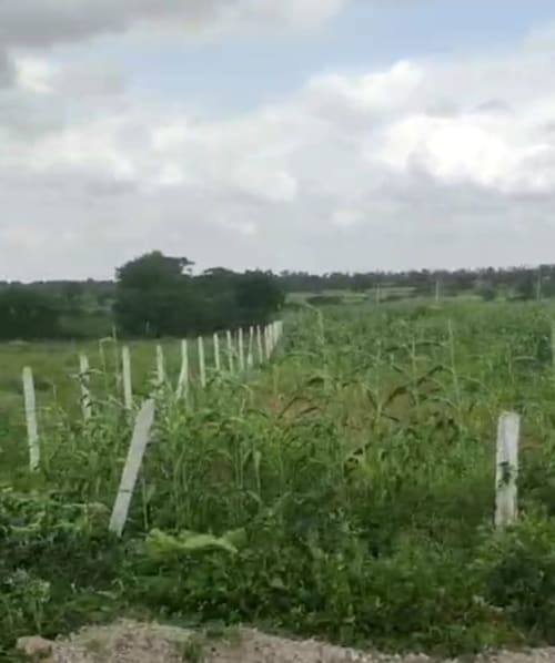 An image of land