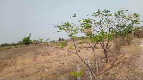 An image of land