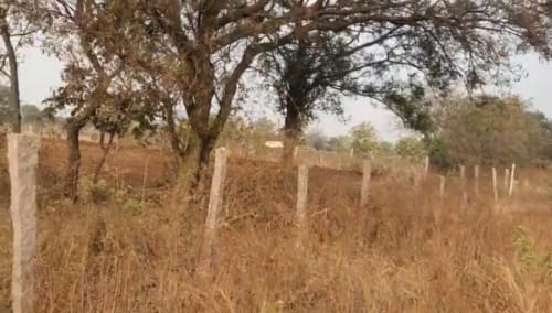 An image of land