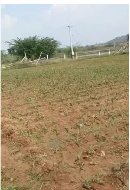 An image of land