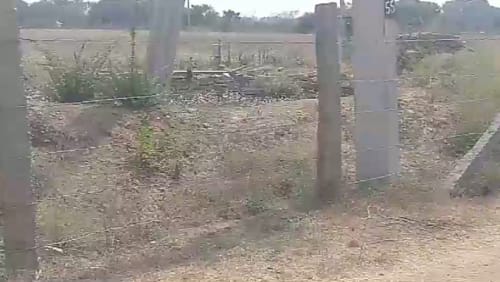 An image of land