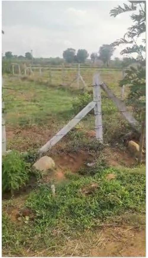 An image of land