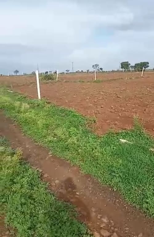 An image of land