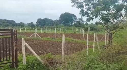 An image of land