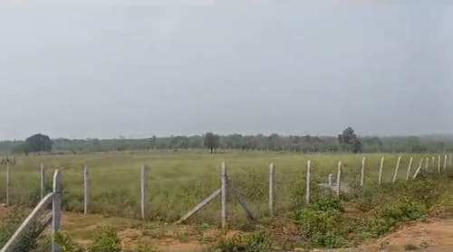 An image of land