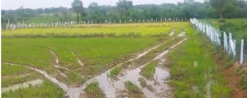 An image of land