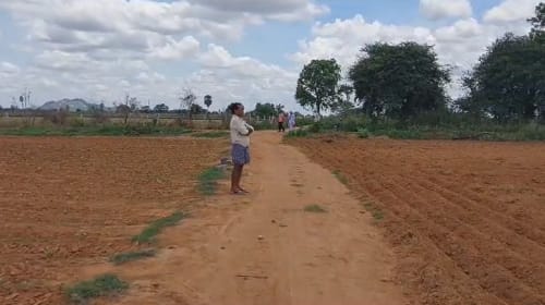 An image of land