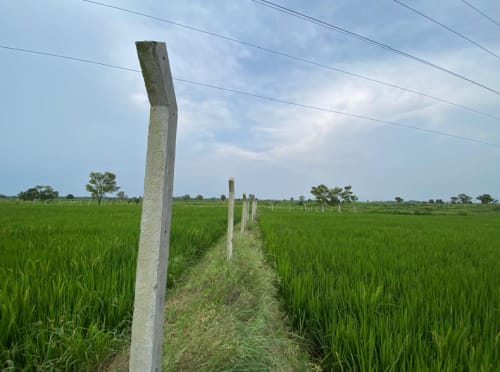 An image of land