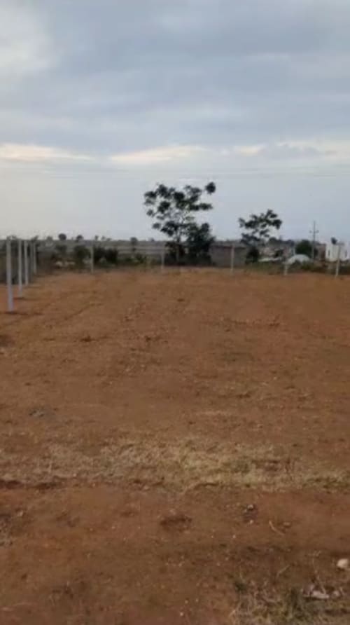 Land in Pulumamidi village, Kandukur mandal, Rangareddy district - land 2467