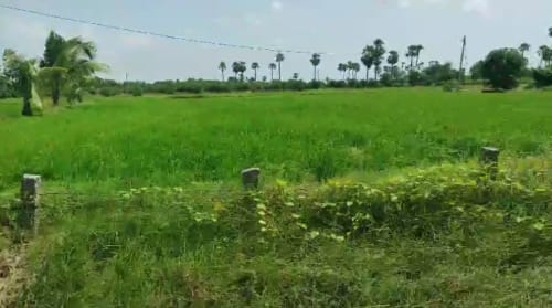 An image of land