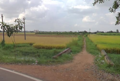 An image of land