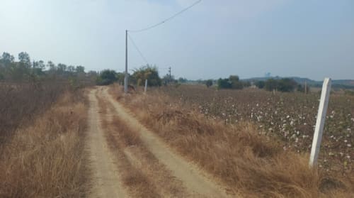 An image of land