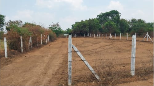 An image of land