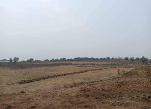 Land in Lingareddipet village, Manoharabad mandal, Medak district - land 2469