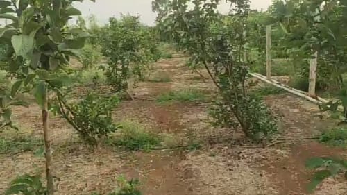 An image of land