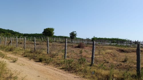 An image of land