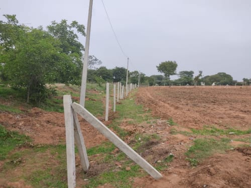 An image of land
