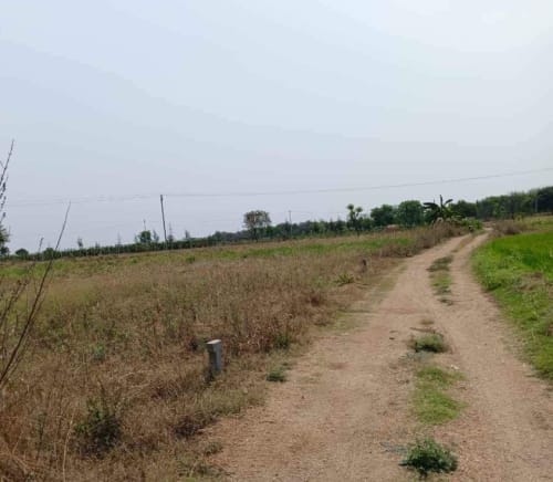 An image of land