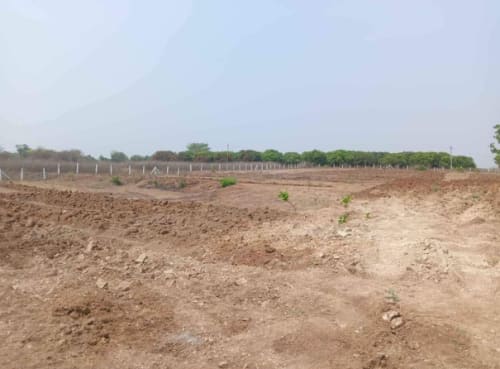 Land in Lingareddipet village, Manoharabad mandal, Medak district - land 2469