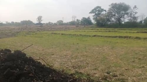 Land in Gottimukla village, Vikarabad mandal, Vikarabad district - land 2473