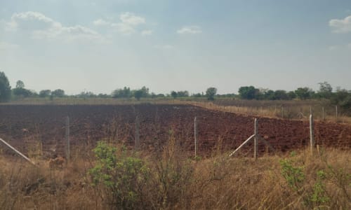 An image of land