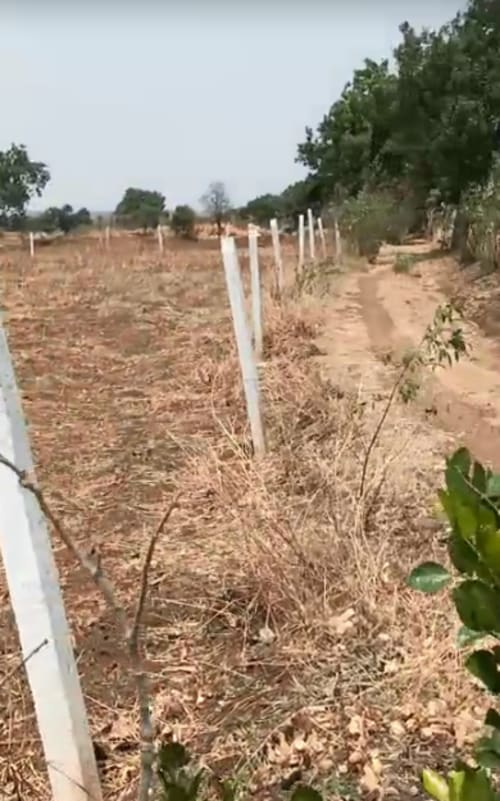 An image of land